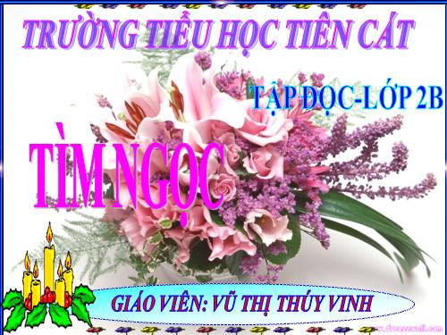 Tuần 17. Tìm ngọc