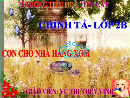 Tuần 16. Con chó nhà hàng xóm