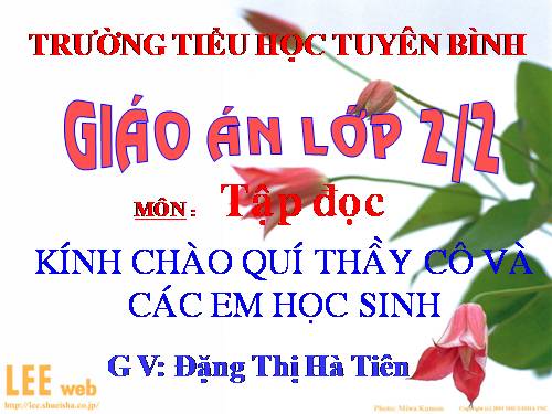 Tuần 12. Mẹ