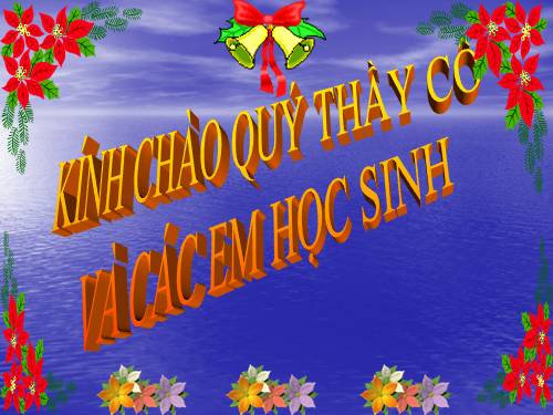 Tuần 13. Bông hoa Niềm Vui