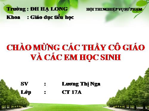 Tuần 20. Mùa xuân đến