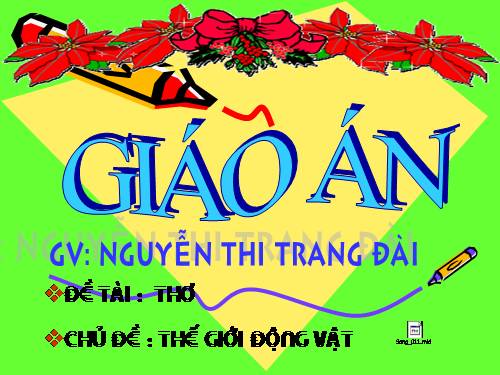 Mèo đi câu cá