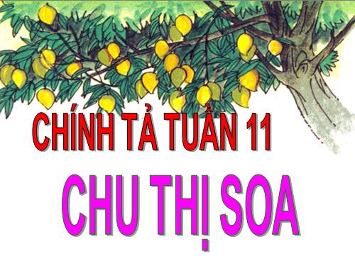 Tuần 11. Cây xoài của ông em