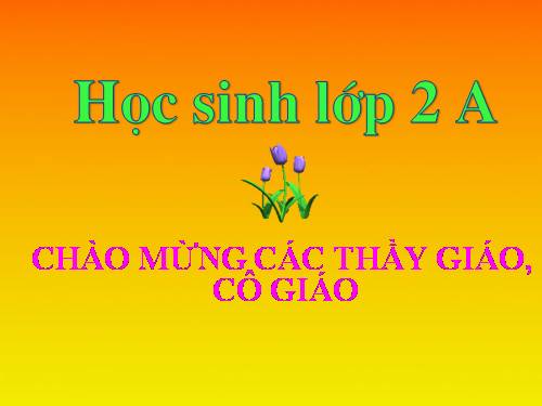 Tuần 8. Người mẹ hiền