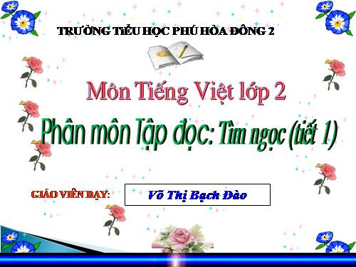 Tuần 17. Tìm ngọc