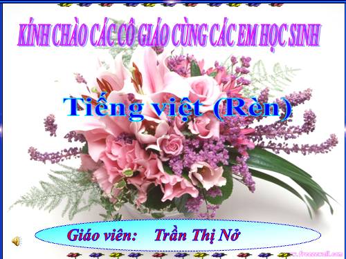 Tuần 17. Tìm ngọc
