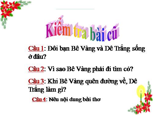 Tuần 4. Bím tóc đuôi sam