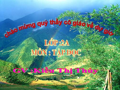 Tuần 13. Bông hoa Niềm Vui
