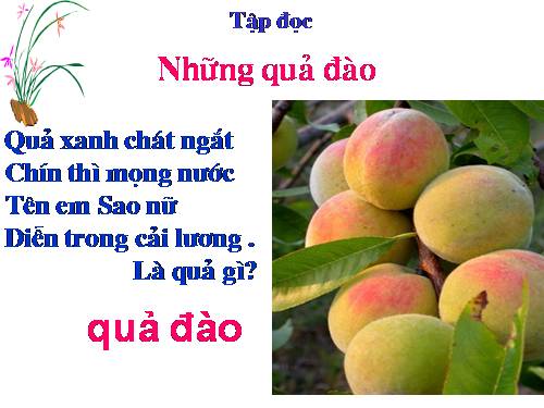 Tuần 29. Những quả đào