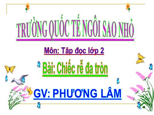 Tuần 31. Chiếc rễ đa tròn