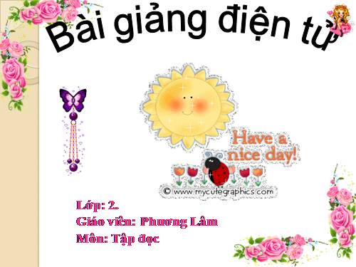 Tuần 31. Cây và hoa bên lăng Bác