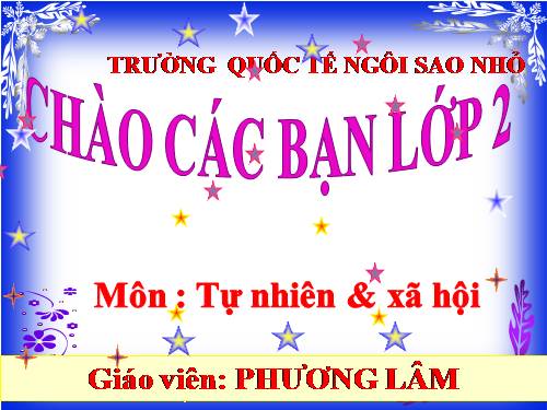 Tuần 31. Bảo vệ như thế là rất tốt