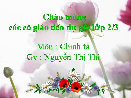 Tuần 24. Voi nhà