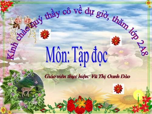 Tuần 31. Cây và hoa bên lăng Bác