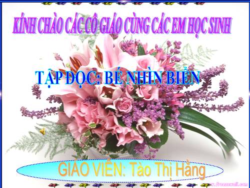 Tuần 25. Bé nhìn biển