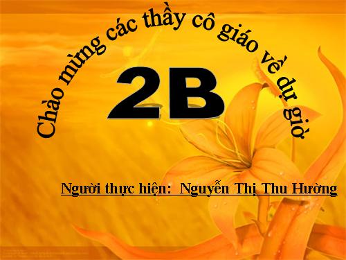 Tuần 31. Chiếc rễ đa tròn