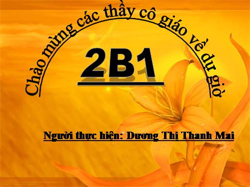Tuần 31. Chiếc rễ đa tròn