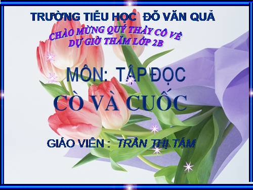 Tuần 22. Cò và Cuốc