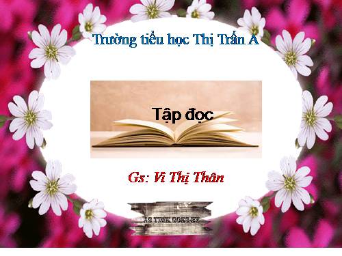 Tuần 28. Cây dừa