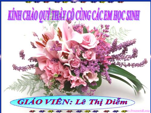 Tuần 25. Bé nhìn biển
