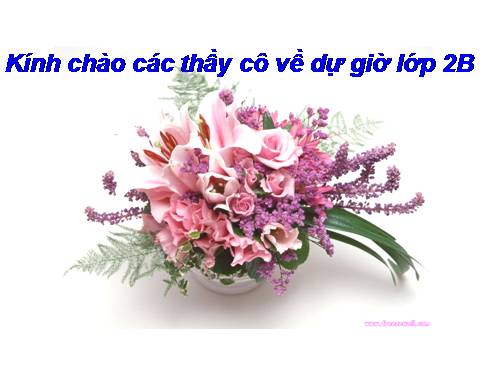 Tuần 28. Cây dừa