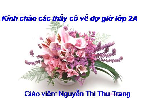 Tuần 28. Cây dừa