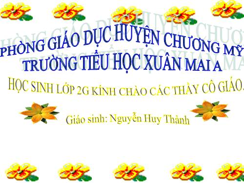 Tuần 21. Chim sơn ca và bông cúc trắng