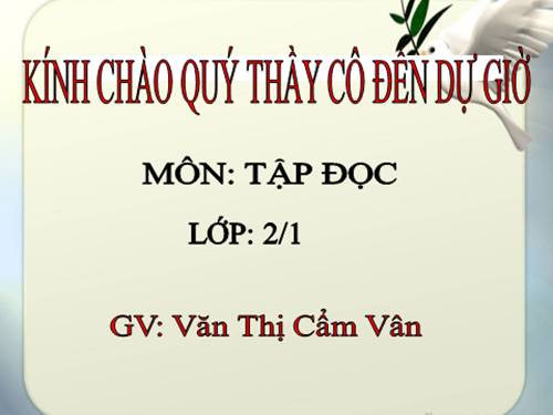 Tuần 19. Chuyện bốn mùa