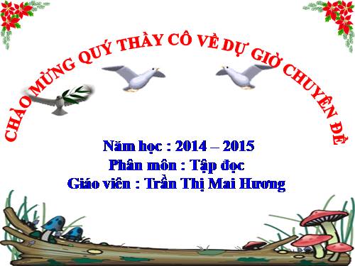 Tuần 22. Cò và Cuốc
