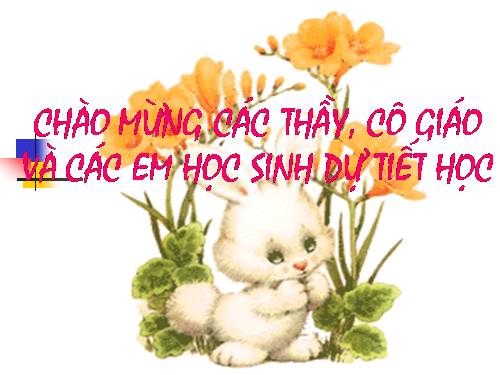 Tuần 8. Bàn tay dịu dàng