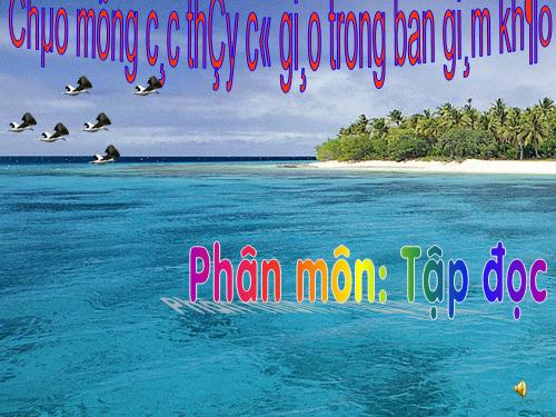 Tuần 25. Bé nhìn biển