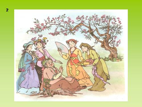 Tuần 19. Chuyện bốn mùa