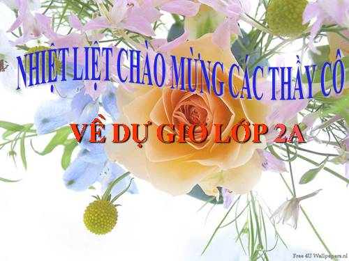 Tuần 11. Cây xoài của ông em