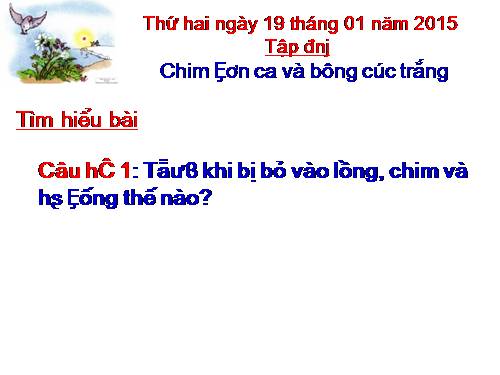 Tuần 21. Chim sơn ca và bông cúc trắng