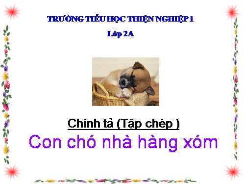 Tuần 16. Con chó nhà hàng xóm