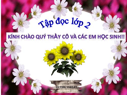 Tuần 16. Con chó nhà hàng xóm