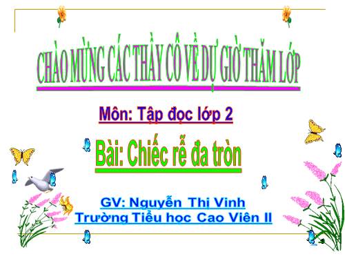 Tuần 31. Chiếc rễ đa tròn