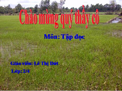 Tuần 28. Kho báu