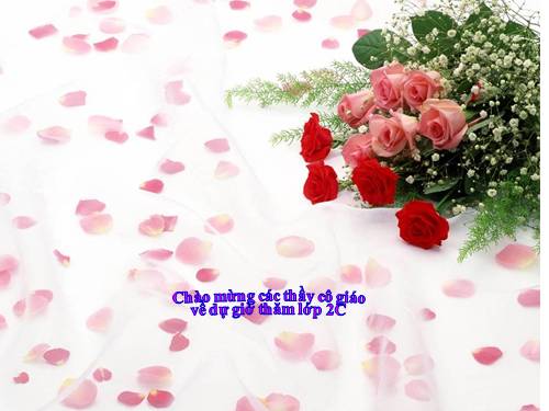 Tuần 11. Cây xoài của ông em