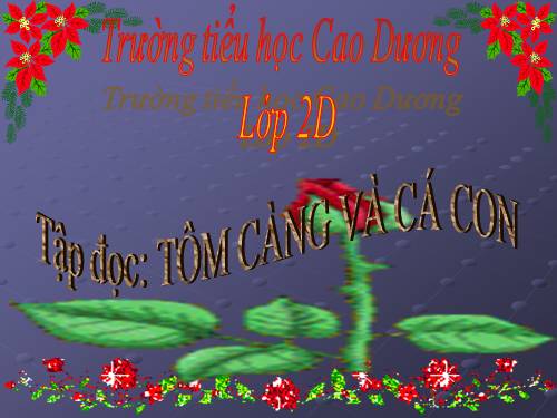 Tuần 26. Tôm Càng và Cá Con
