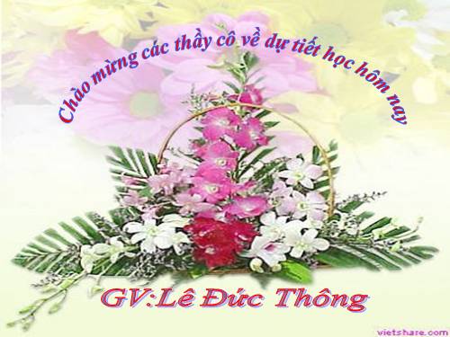 Tuần 21. Vè chim