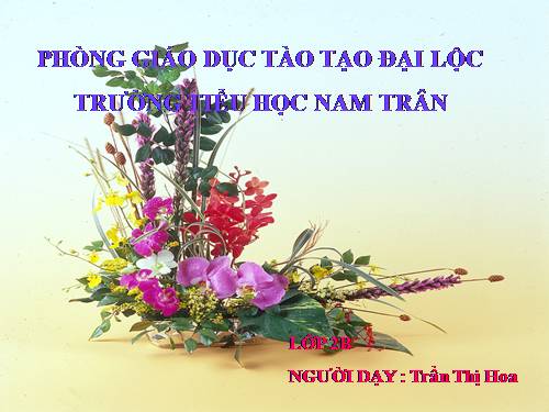 Tuần 13. Quà của bố