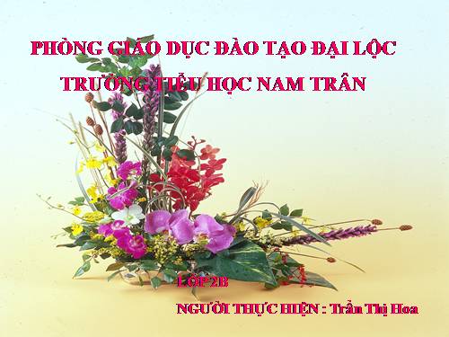 Tuần 11. Cây xoài của ông em