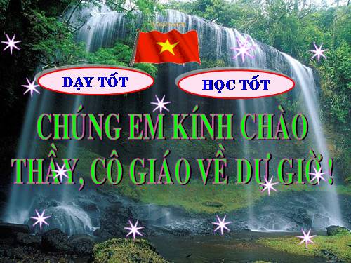 Tuần 21. Vè chim