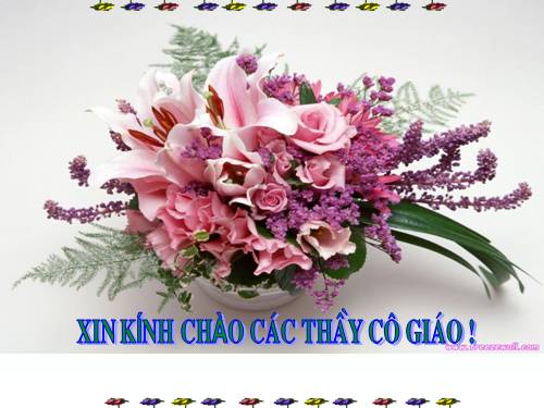 Tuần 12. Mẹ