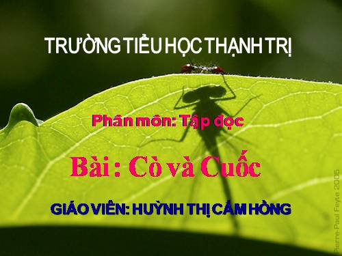 Tuần 22. Cò và Cuốc