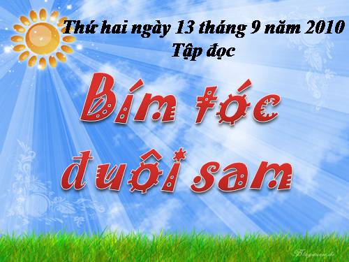 Tuần 4. Bím tóc đuôi sam