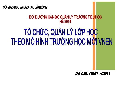 Bồi dưỡng hè 2014 - Tổ chức lớp học VNEN
