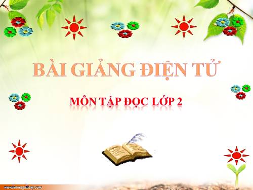 Tuần 28. Cây dừa