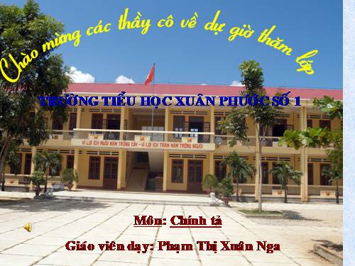 Tuần 28. Cây dừa